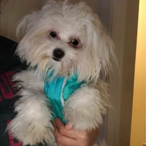 Meet your Posher, Stephany